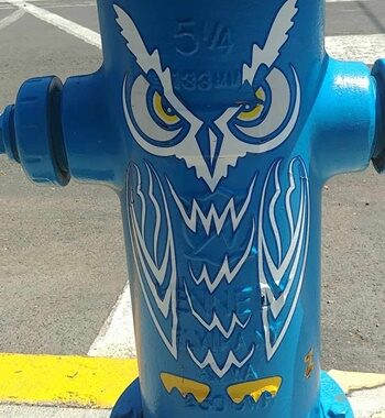 Fire hydrant painted blue with an owl desgin.