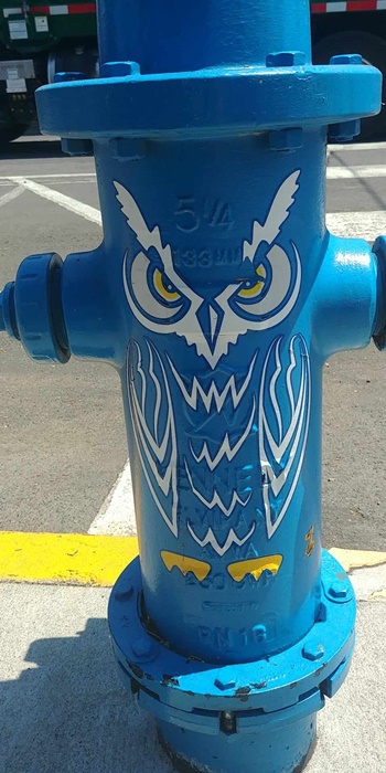 Fire hydrant painted blue with an owl desgin.